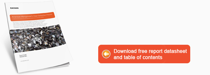 American Manganese report