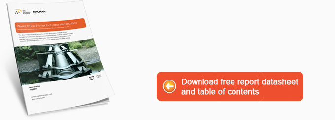 Water 101: A Primer for Corporate Executives